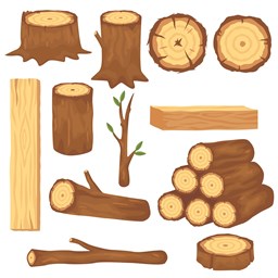 تصویر برای گروهاطلاعات صنایع چوب